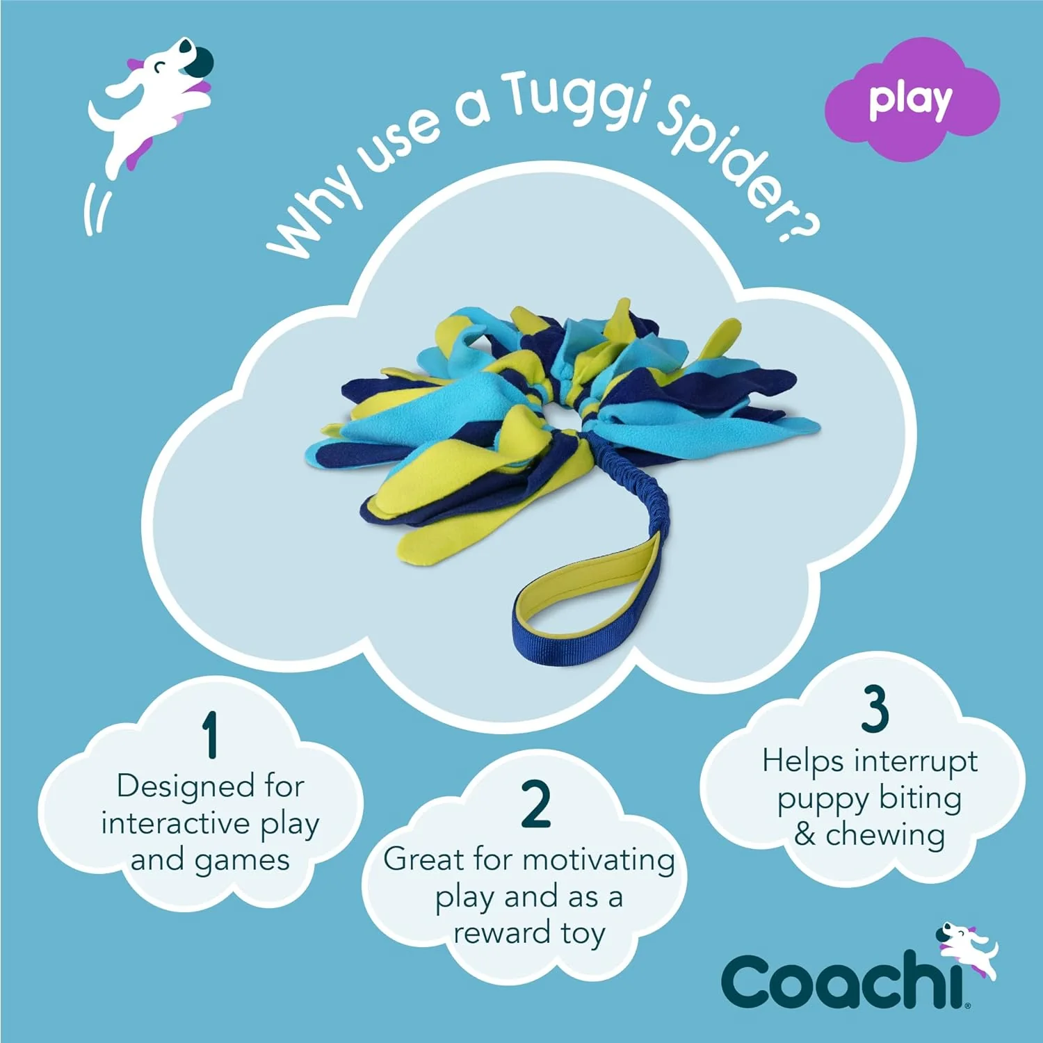 Coachi Tuggi Spider Dog Toy - Navy, Lime & Blue - Image 2