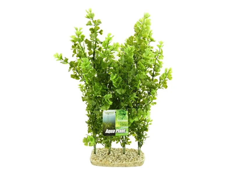 Aquarium Hedge
