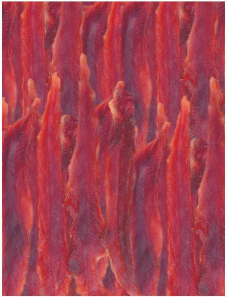 Pet Munchies Duck Breast Fillet 80g - Image 2