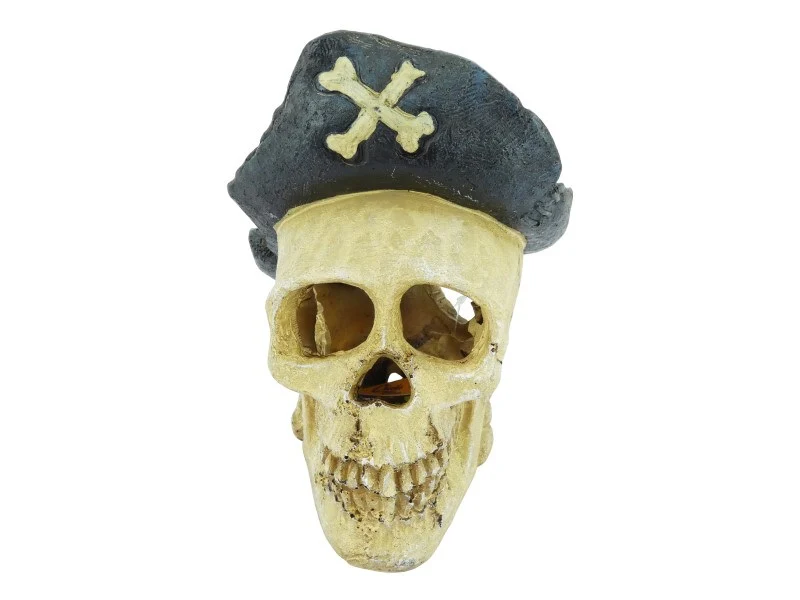 Aquarium Pirate Skull - Image 2