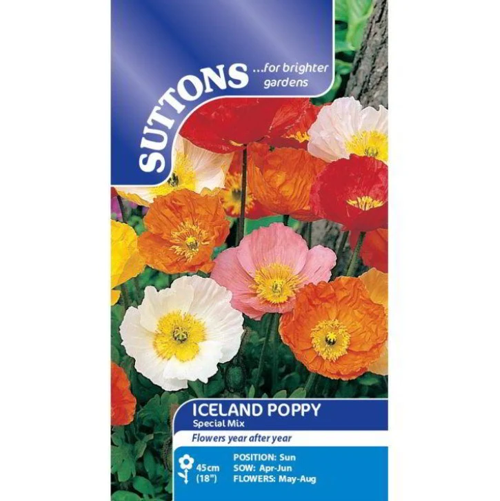 Poppy Iceland Special Mix Flower Seeds - Image 2