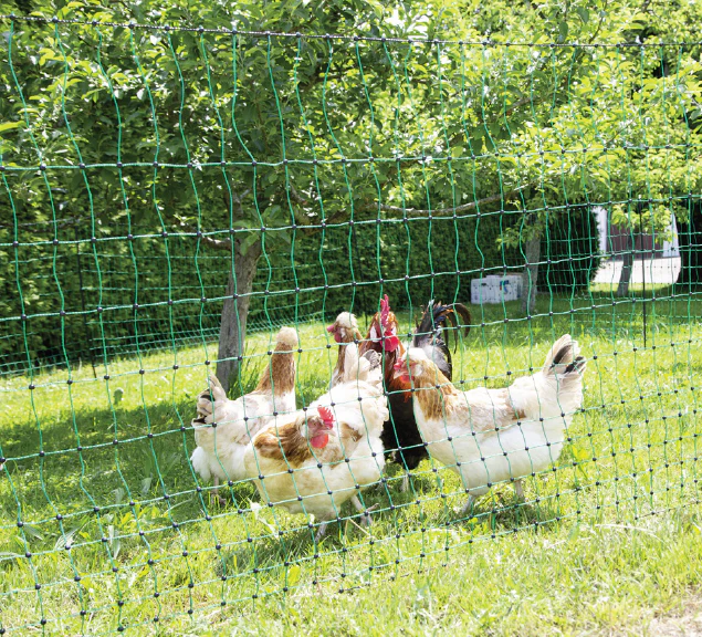 Electric Poultry Netting Single Prong 108cm x 50m - Image 3