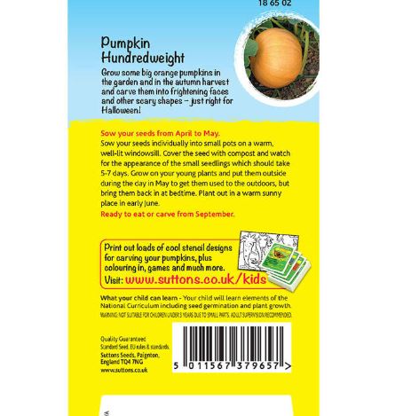 Pumpkin 'Crafty Pumpkin (Hundredweight)' - Seeds - Image 2