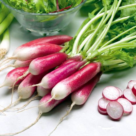 Radish 'French Breakfast 3' - Seeds - Image 2