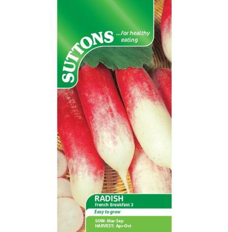 Radish 'French Breakfast 3' - Seeds - Image 3