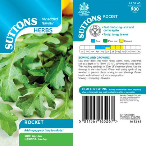 Rocket - Seeds - Image 4