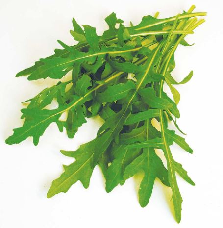 Rocket 'Wild' - Seeds - Image 3