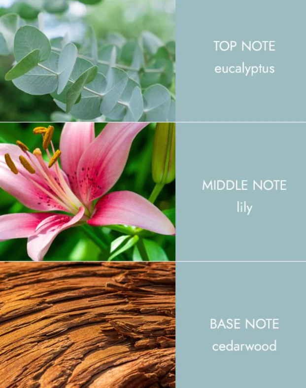 Room Spray - Botantical Breeze - Image 3