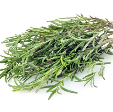 Rosemary - Herb Seeds - Image 3