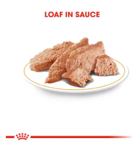 Royal Canin Dachshund Loaf 12 x 85 g - Image 3