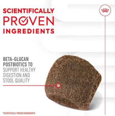 Royal Canin Digestion Supplement for Adult Dog 160g - Image 3