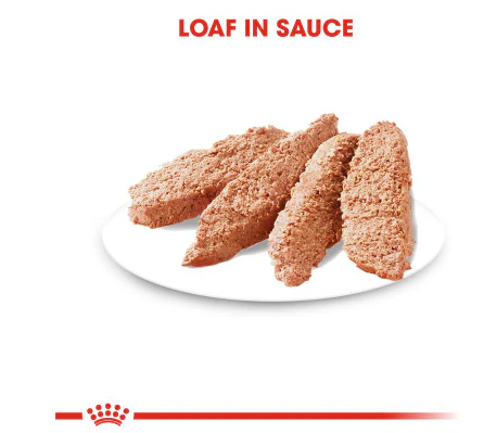 Royal Canin Digestive Care Loaf  12 x 85g - Image 2