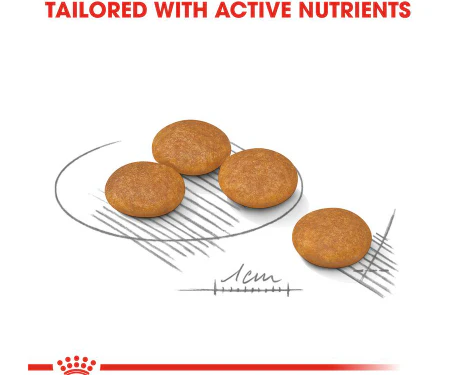 Royal Canin Mini Dermacomfort 3kg - Image 3