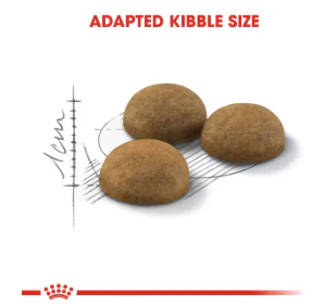 Royal Canin Indoor Long Hair 2kg - Image 2