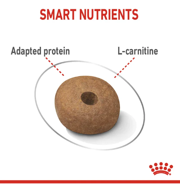 Royal Canin Light Weight Care Medium 3 kg - Image 2