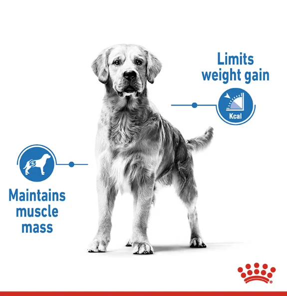 Royal Canin Light Weight Care Medium 3 kg - Image 3