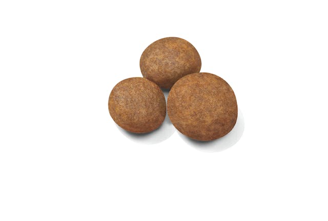 Royal Canin Maxi Puppy 15kg - Image 2