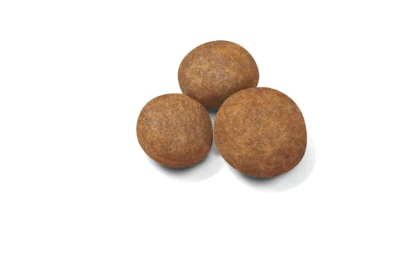 Royal Canin Maxi Puppy - 4kg - Image 2