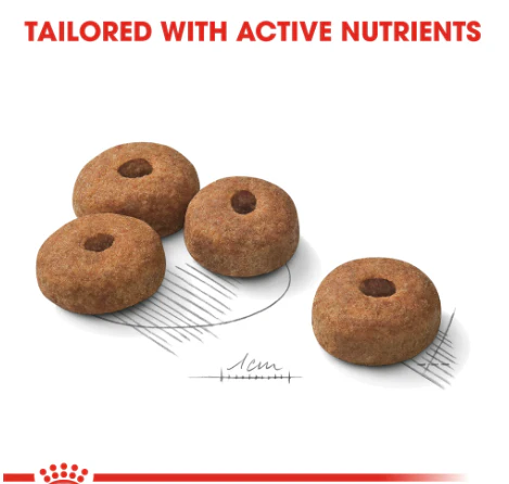 Royal Canin Maxi Sterilised Care 12kg - Image 3