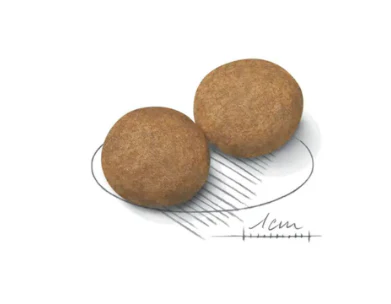 Royal Canin Medium Adult Dry Dog Food - Image 2