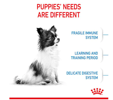 Royal Canin X-Small Puppy 1.5kg - Image 2