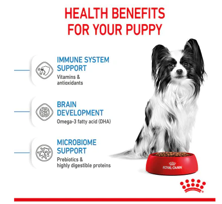 Royal Canin X-Small Puppy 1.5kg - Image 3