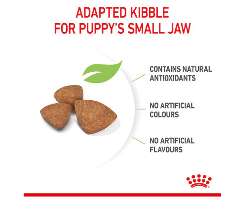 Royal Canin X-Small Puppy 1.5kg - Image 4