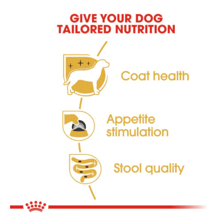 Royal Canin Yorkshire Terrier Adult Pouch, 85g - Image 3