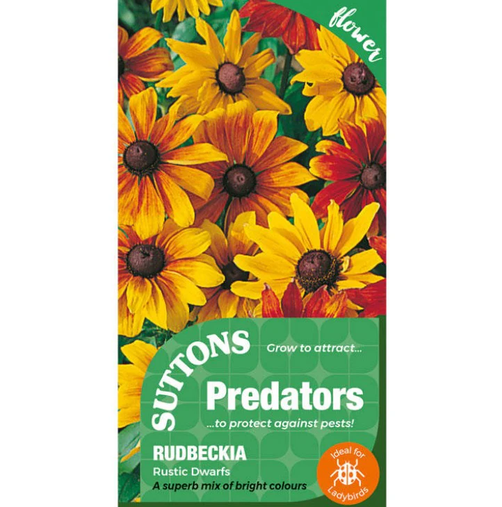 Rudbeckia Rustic Mix Flower Seeds - Image 2