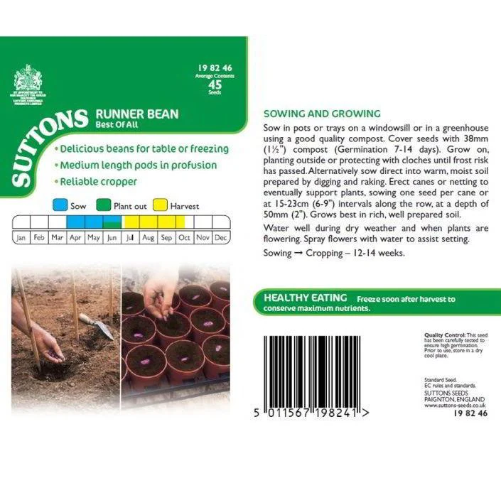 Runner Bean 'Best Of All' - Seeds - Image 4