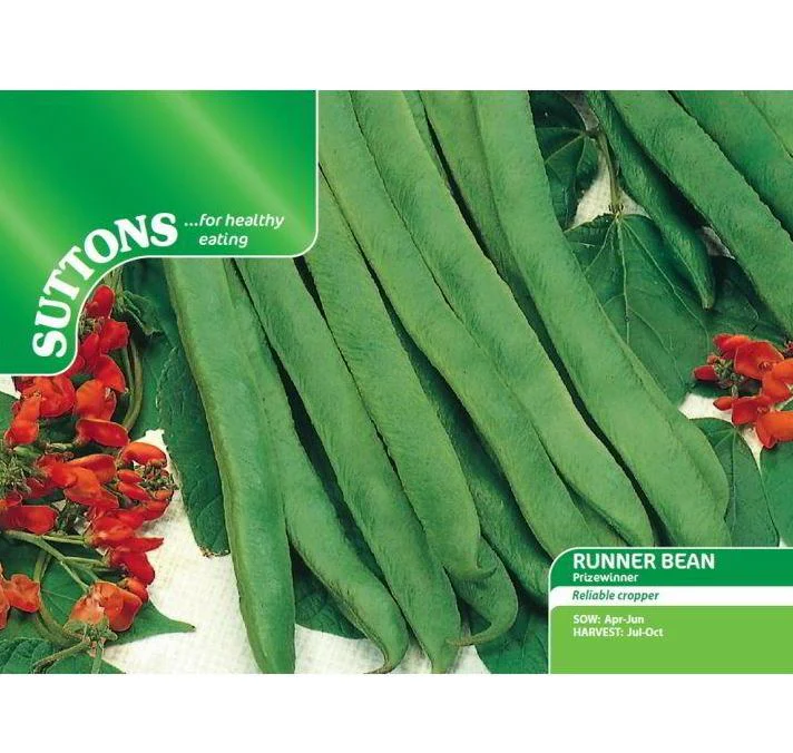 Runner Bean 'Prizewinner' - Seeds