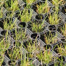 Safagrass Rubber Mat - 1.5m x 1m - Image 2