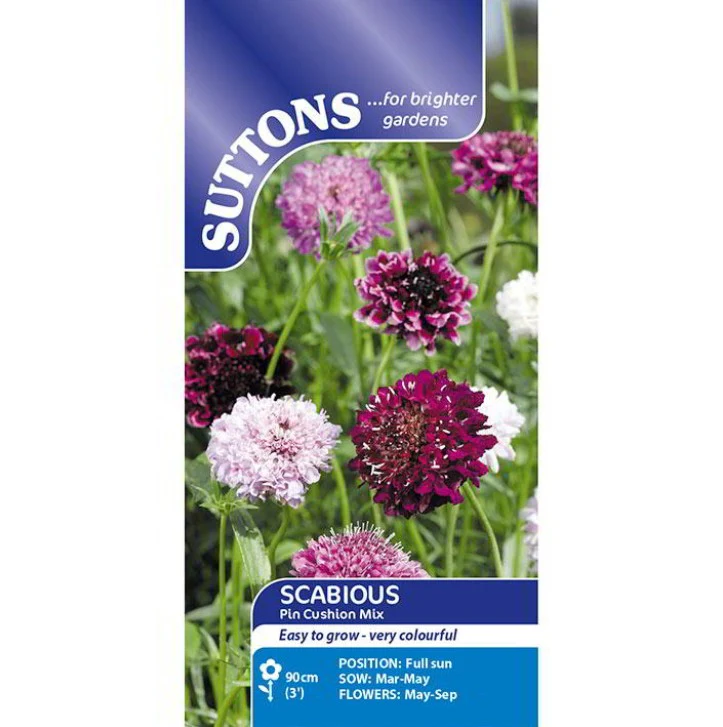 Scabious Pin Cushion Mix Flower Seeds - Image 2