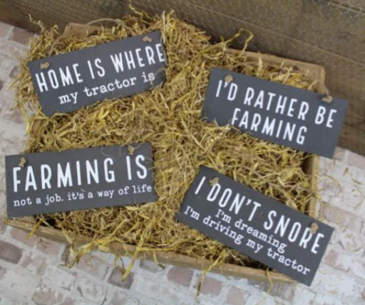 Slate Farm Humour Plaque 4 Asstd with White Quote