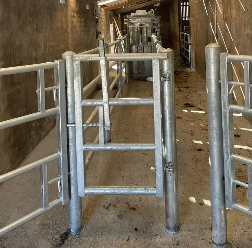 Crush Slam Back Gate - Image 2
