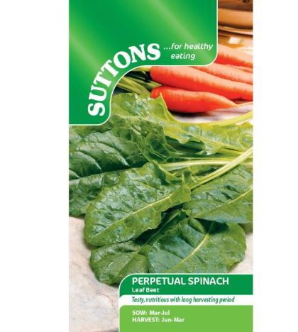 Spinach 'Perpetual Spinach' - Seeds