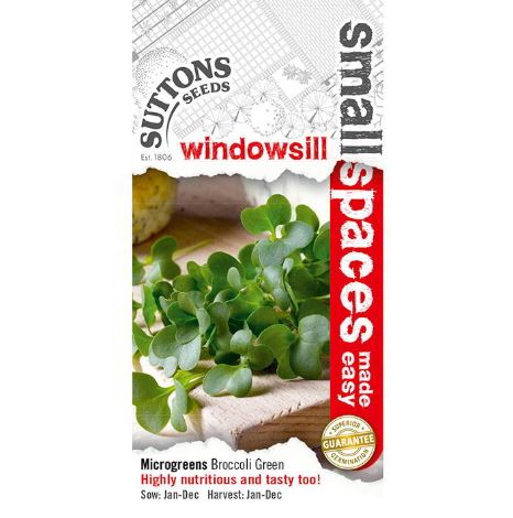 Sprouting 'Broccoli Green-Sprouting' - Seeds - Image 2