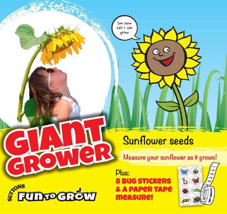 Sunflower 'Giant Grower - Seeds