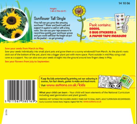Sunflower 'Giant Grower - Seeds - Image 2