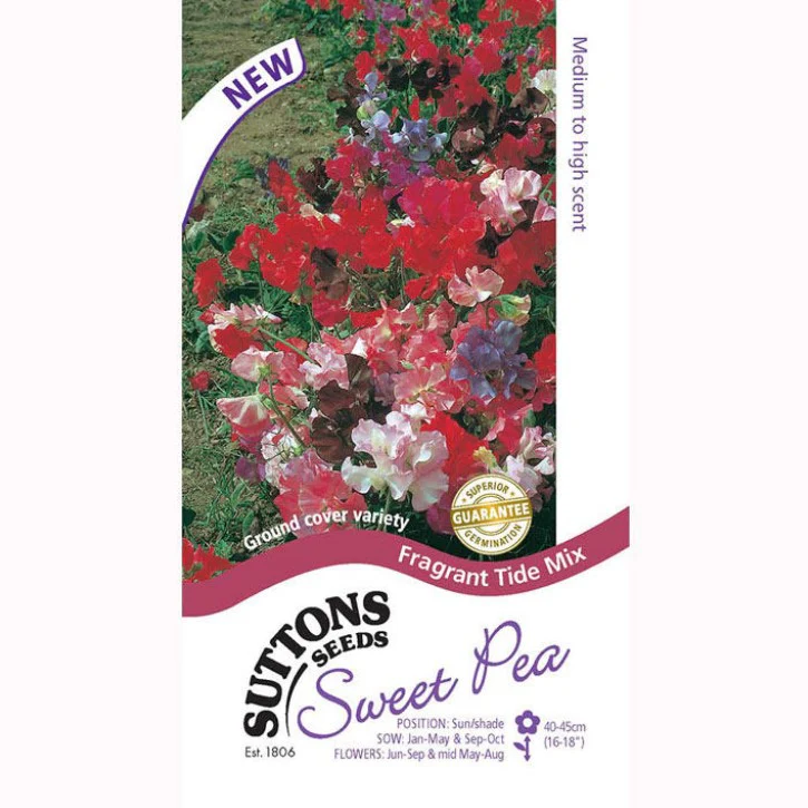 Sweet Pea Fragrant Tide Mix Flower Seeds - Image 2