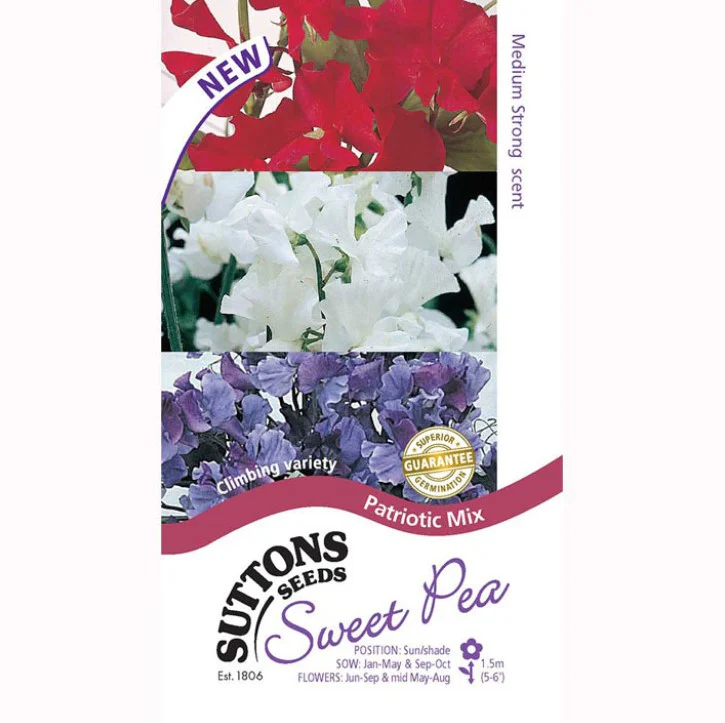 Sweet Pea Patriotic Mix Flower Seeds - Image 2