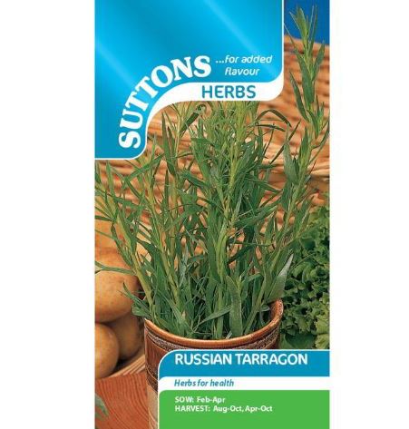 Tarragon 'Russian' - Herb Seeds
