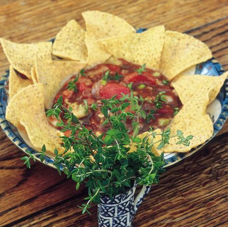Thyme 'Common' - Herb Seeds - Image 2