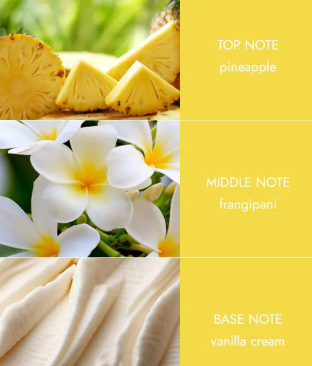 Tin Candle - Summer Bliss - Image 3