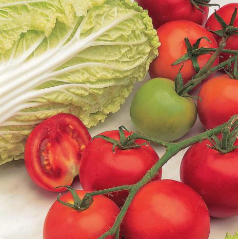 Tomato F1 'Shirley (Indeterminate)' - Seeds - Image 2