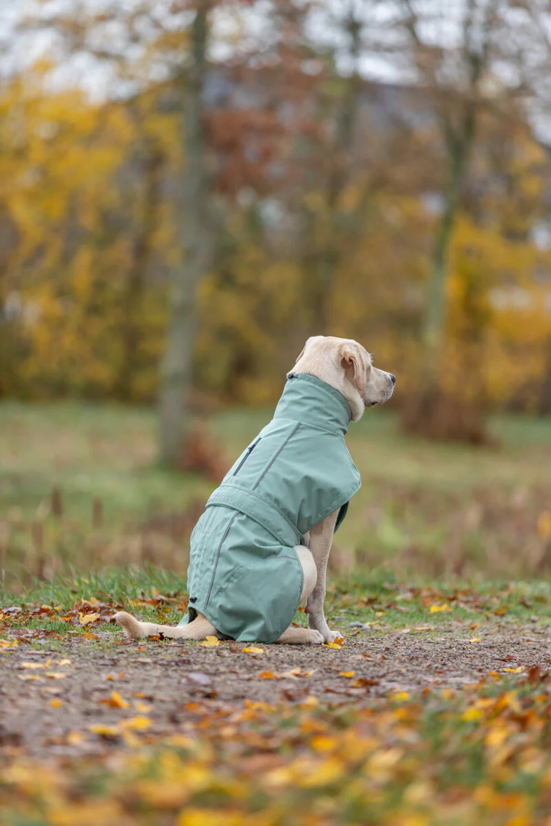 Trixie CityStyle Dublin Raincoat Sage - Image 10