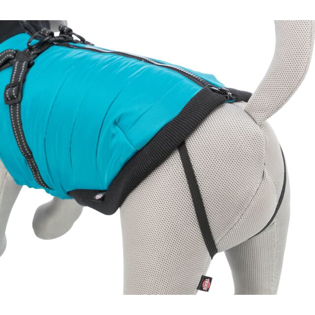 Trixie Pontis Coat with Harness Aqua - Image 5