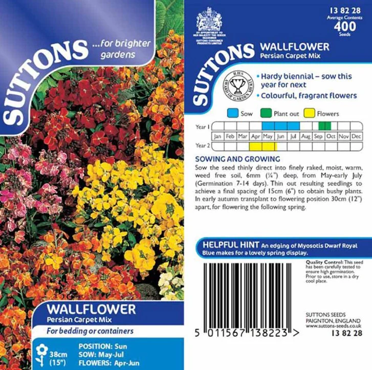 Wallflower Persian Carpet Flower Seeds - Image 2