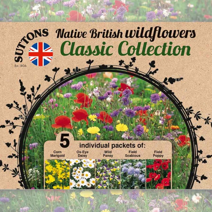 Wildflower Seeds Collection